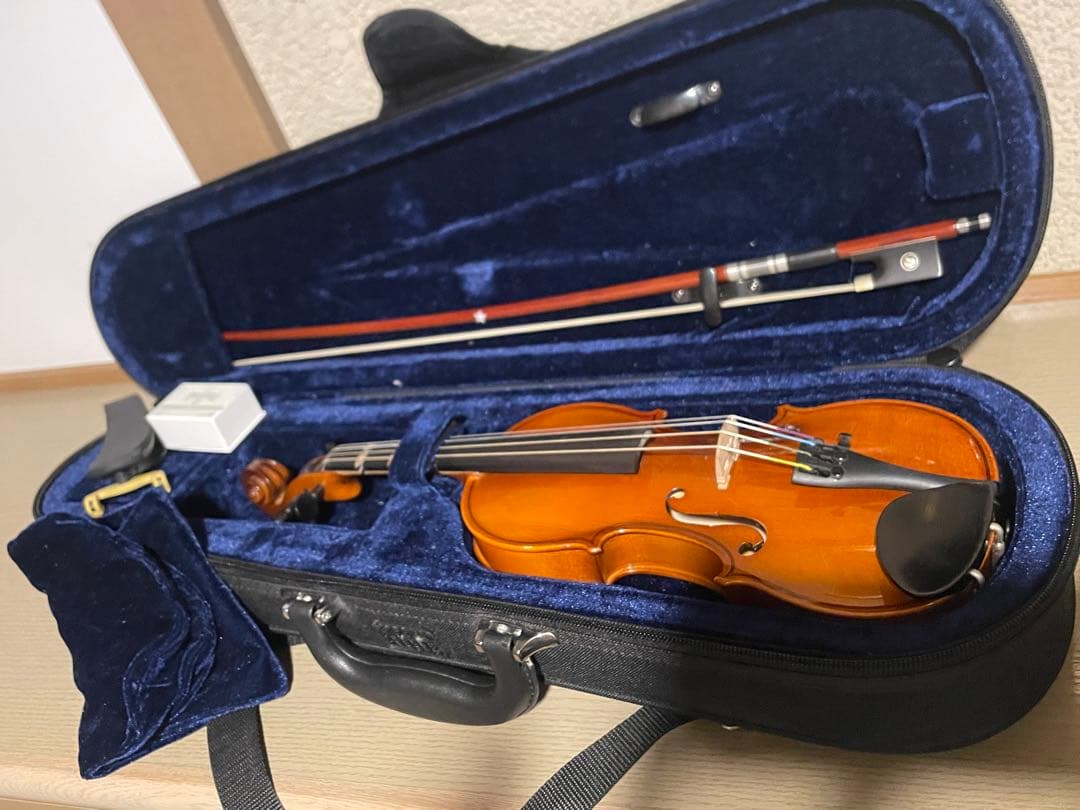 ま*さ様 【美品　弓•ケース等一式付】HORA Reghin ヴァイオリン レジ