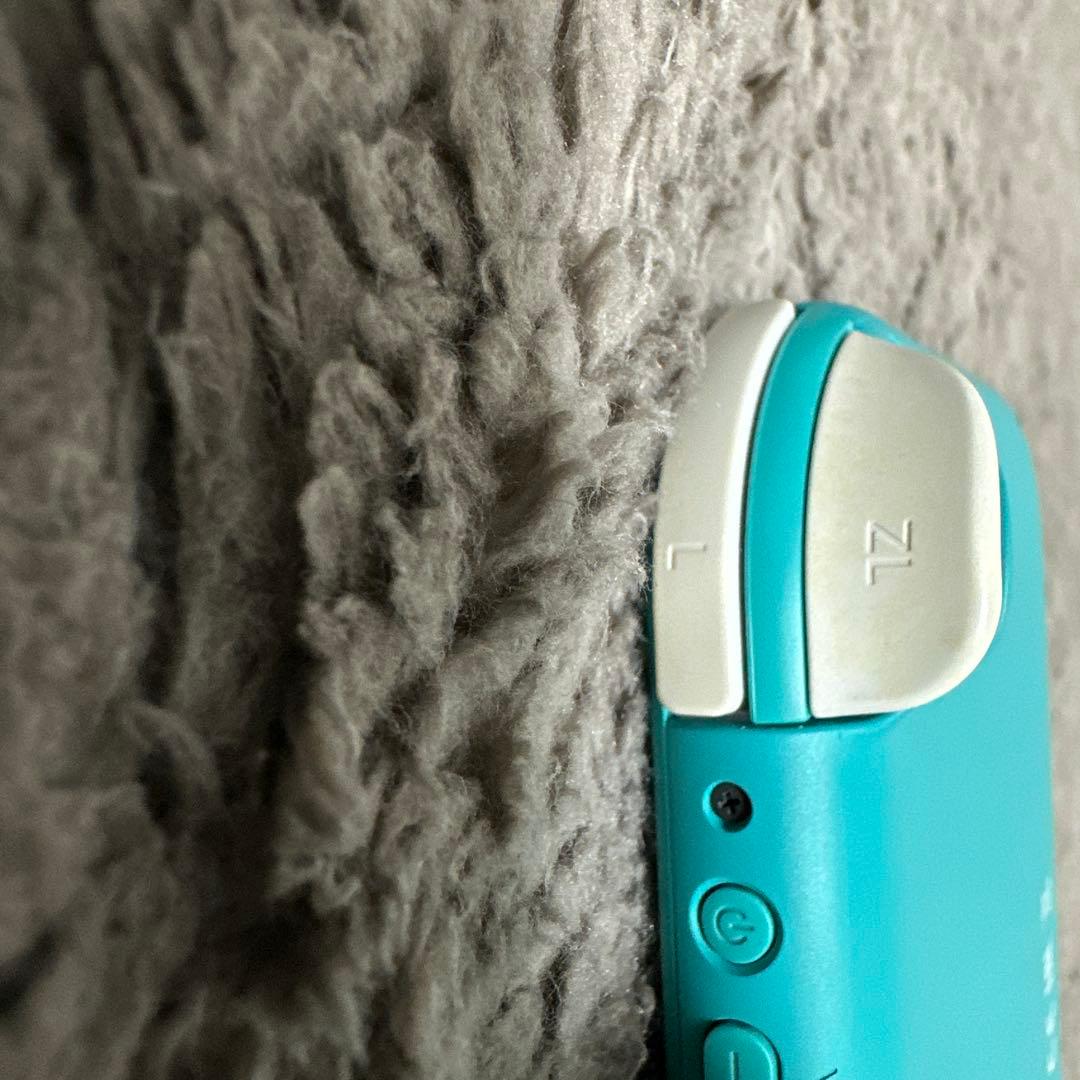 Nintendo Switch Lite ターコイズ 本体ケース、ポーチ　セット