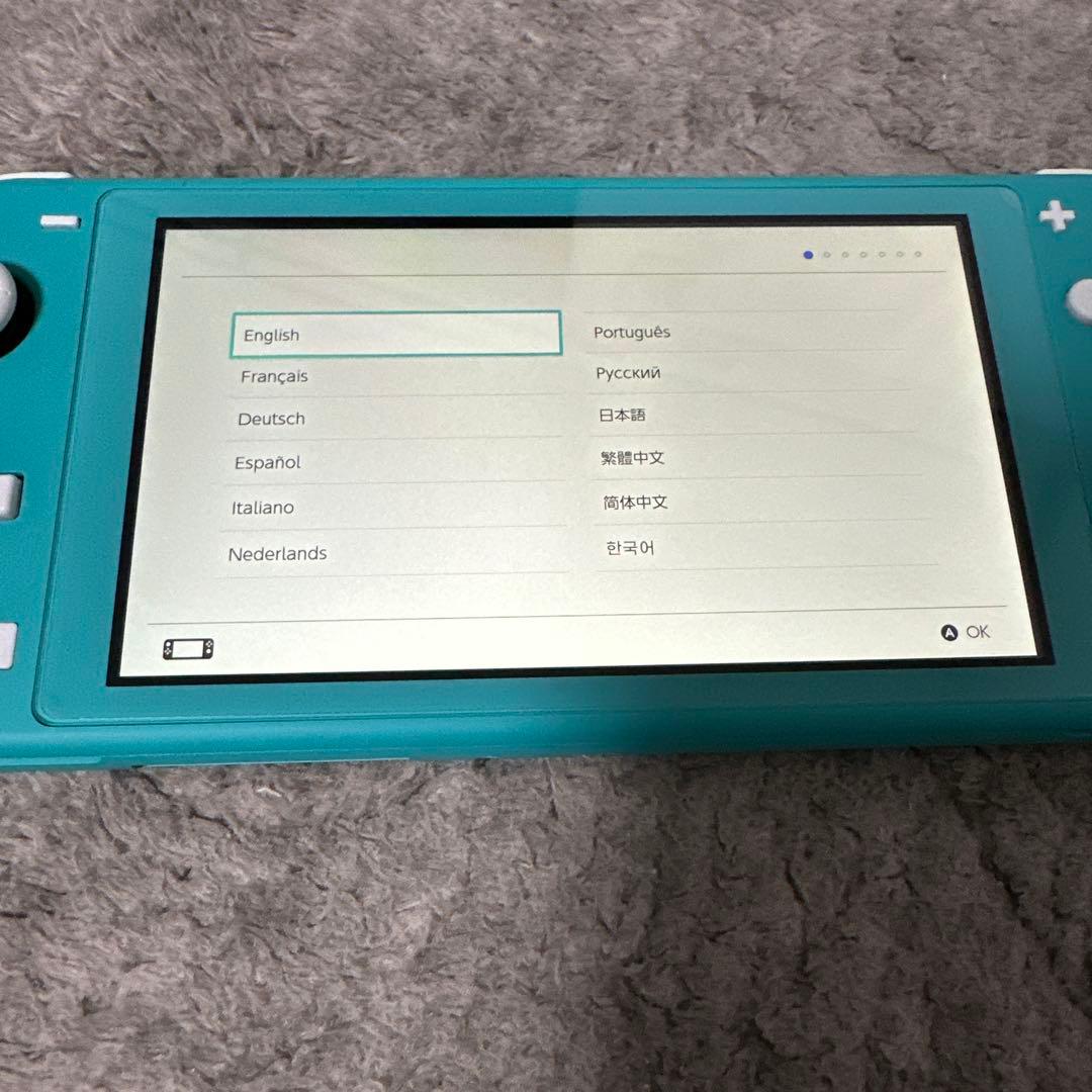 Nintendo Switch Lite ターコイズ 本体ケース、ポーチ　セット