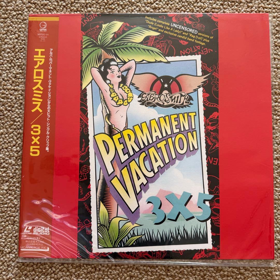 「レトロ」⭐️中にはレア物‼️ レーザーディスク まとめ売り 13枚セット