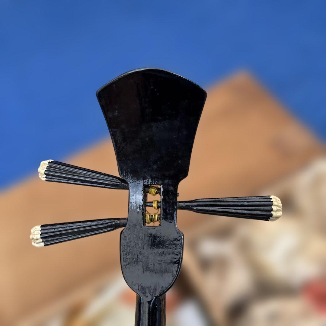 C015 三線　蛇革　蛇皮　※人工ではないとは思いますが判断できません