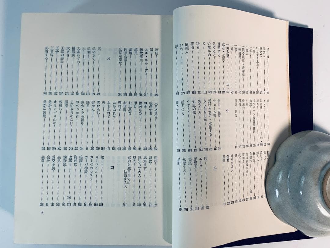 1973年、今から50年近く前の、超レア◆『悪魔の辞典』