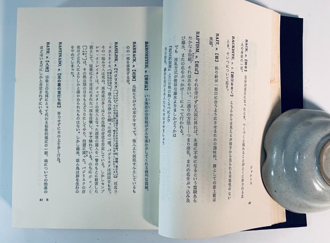 1973年、今から50年近く前の、超レア◆『悪魔の辞典』