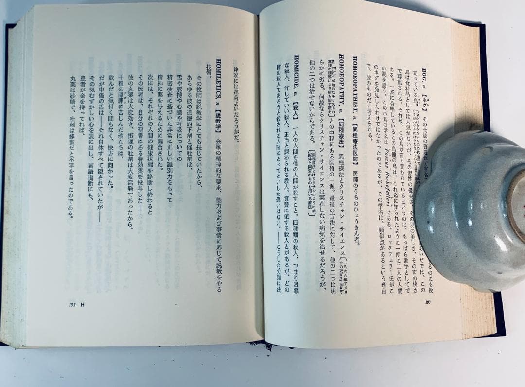 1973年、今から50年近く前の、超レア◆『悪魔の辞典』