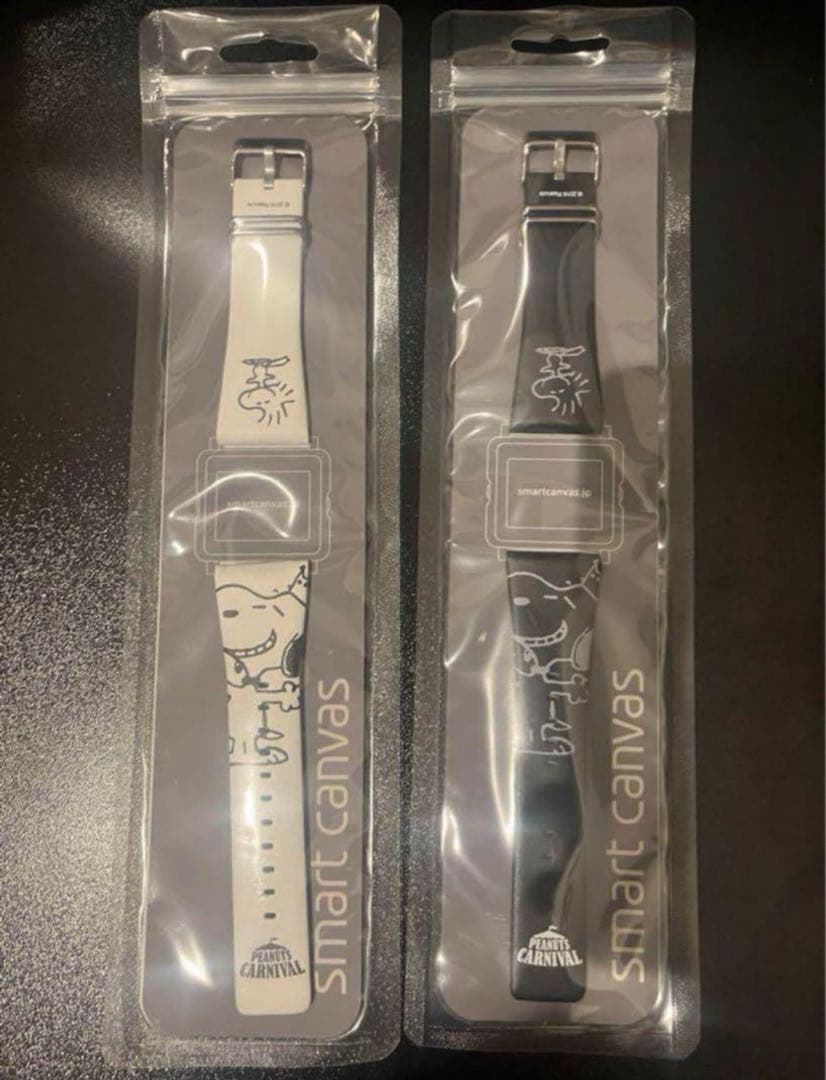 スマートキャンバス替えバンド 2本セット