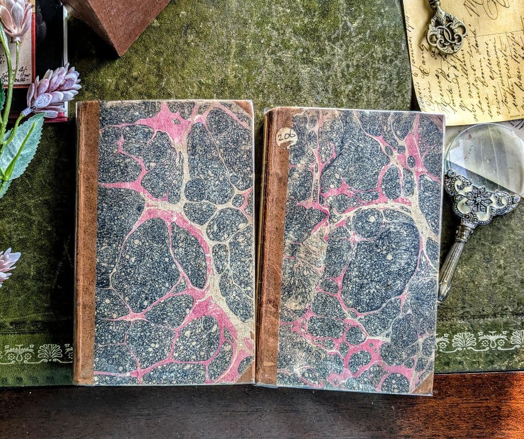 1789年　思わず手袋で触りたくなる♪ベルリン宮廷秘史アンティーク本２冊古書洋書