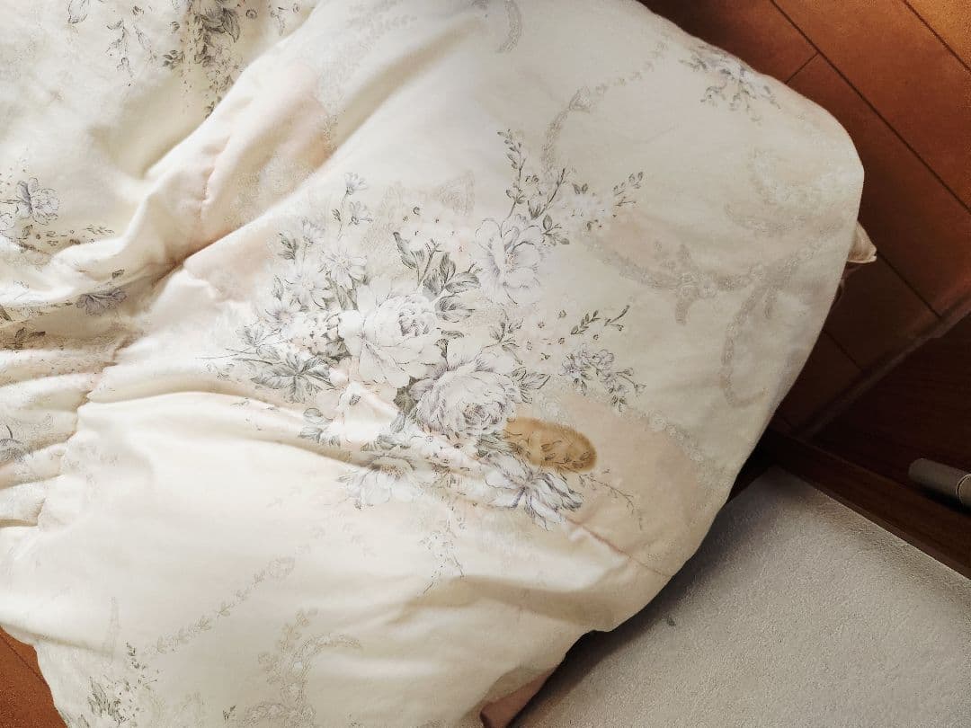 大阪西川羽毛布団ハンドピックダウン　シングルロング