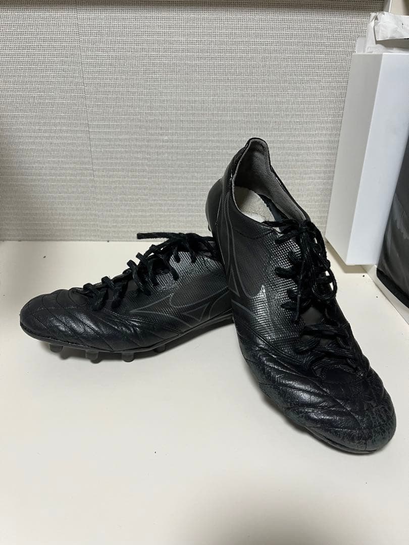 モレリアネオ2Japan