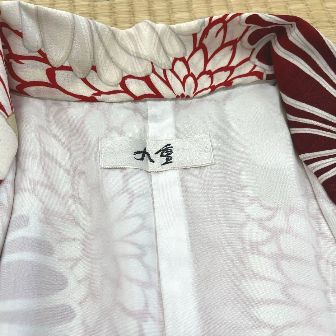 ジュニア卒業式着物 菊椿赤 十三参り着物 袴下着物 【九重】