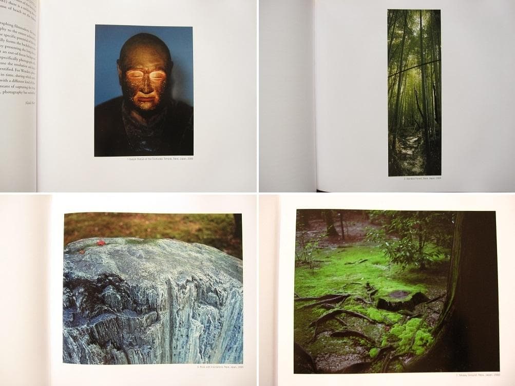 アート・デザイン・音楽 Pictures from the Surface of the Earth