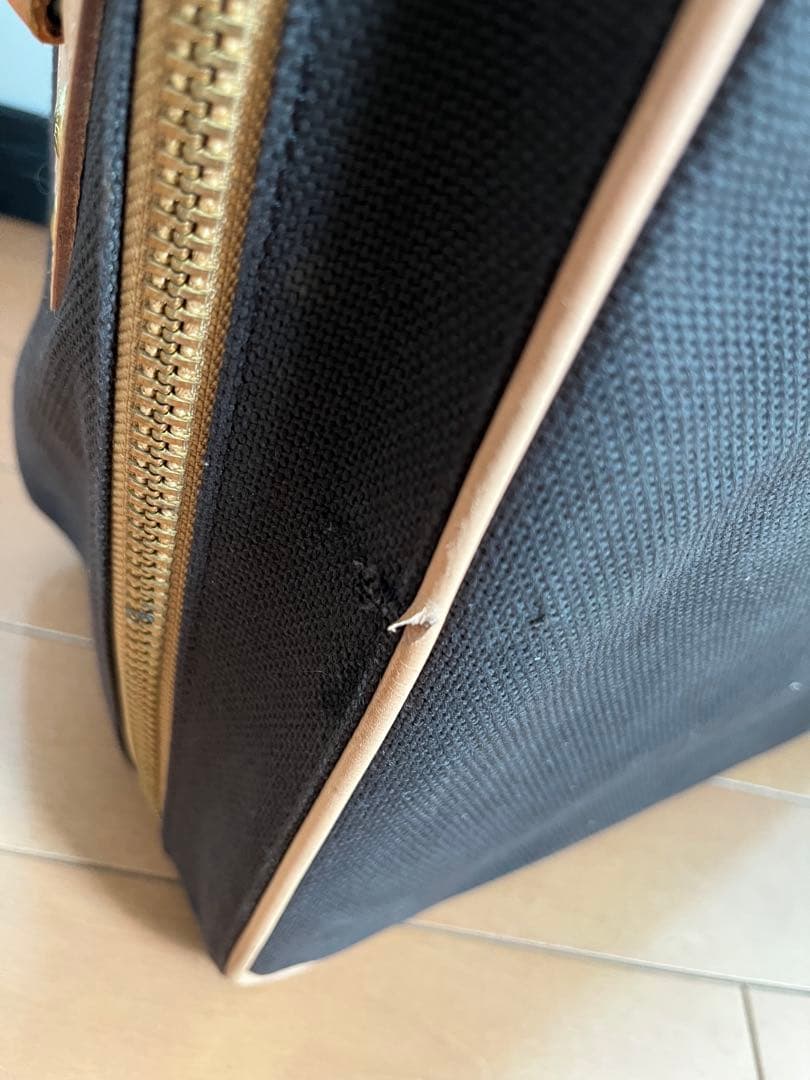 グローブトロッターGLOBETROTTER 21インチ超美品サファリ キャリー