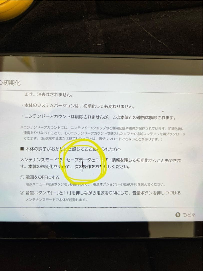 Nintendo Switch 青・赤 本体 初期化済み