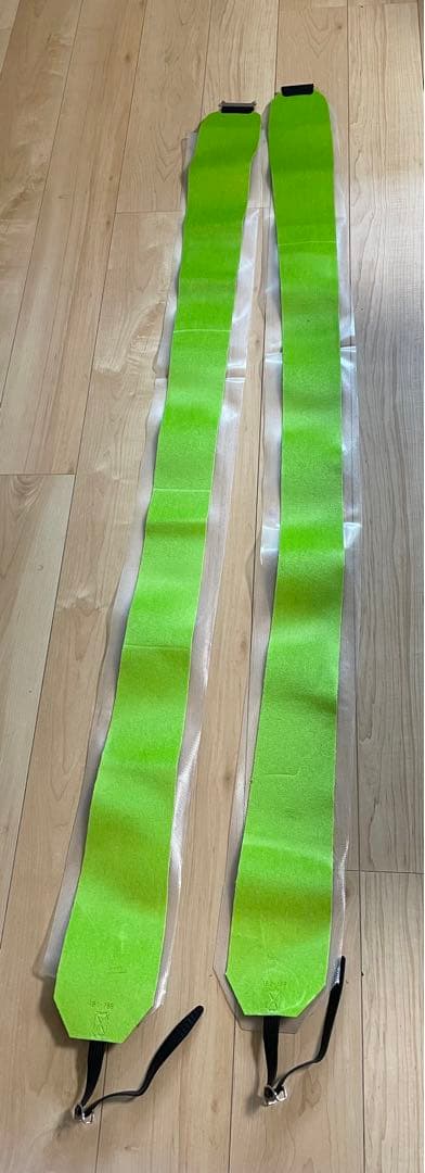 ライン　サーフランシスベーコン（板、ツアービンディング、シールセット）