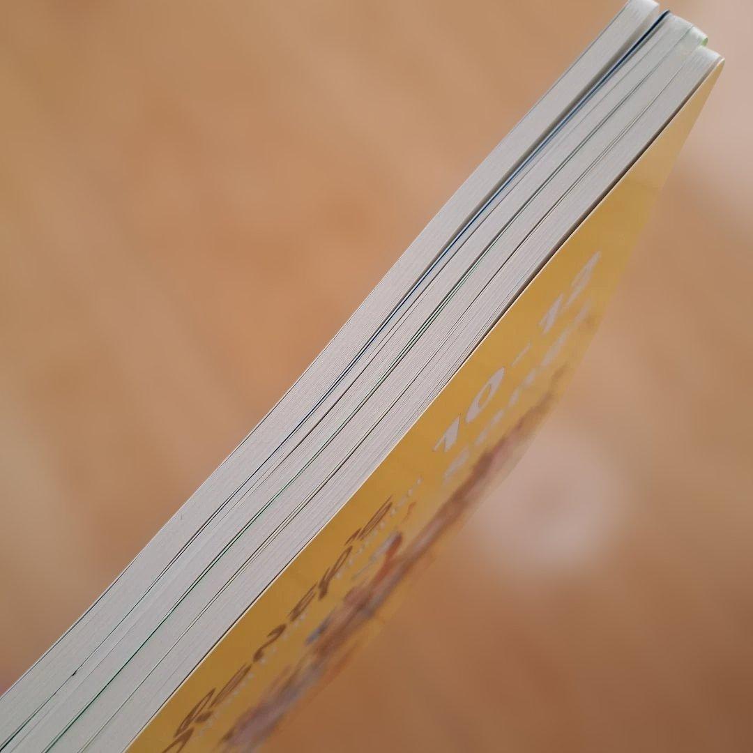 ディズニー英語システム　シングアロング　DVD　Sing Along　本セット