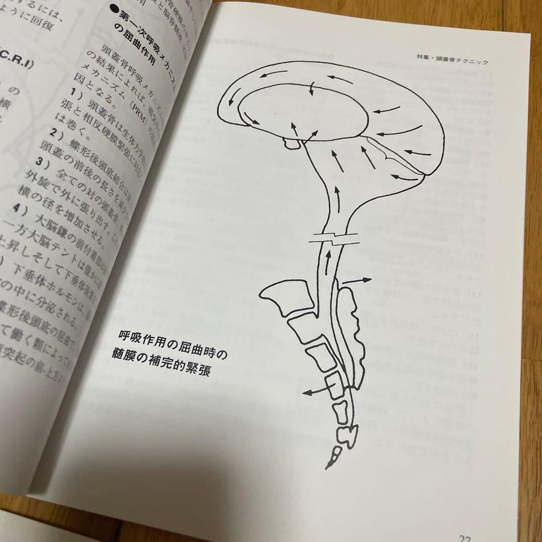 オステオパシージャーナル 4冊セット