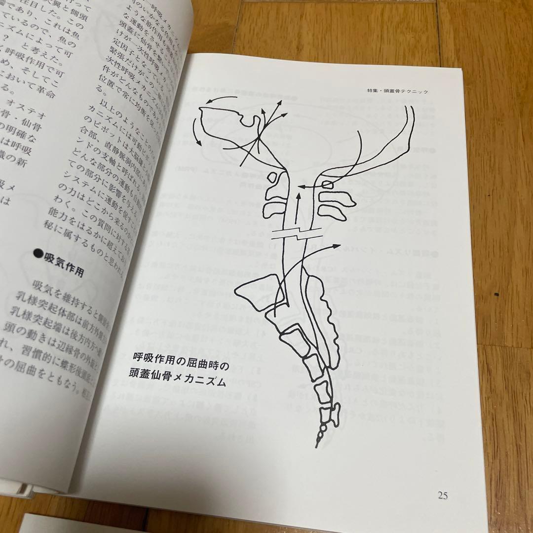 オステオパシージャーナル 4冊セット