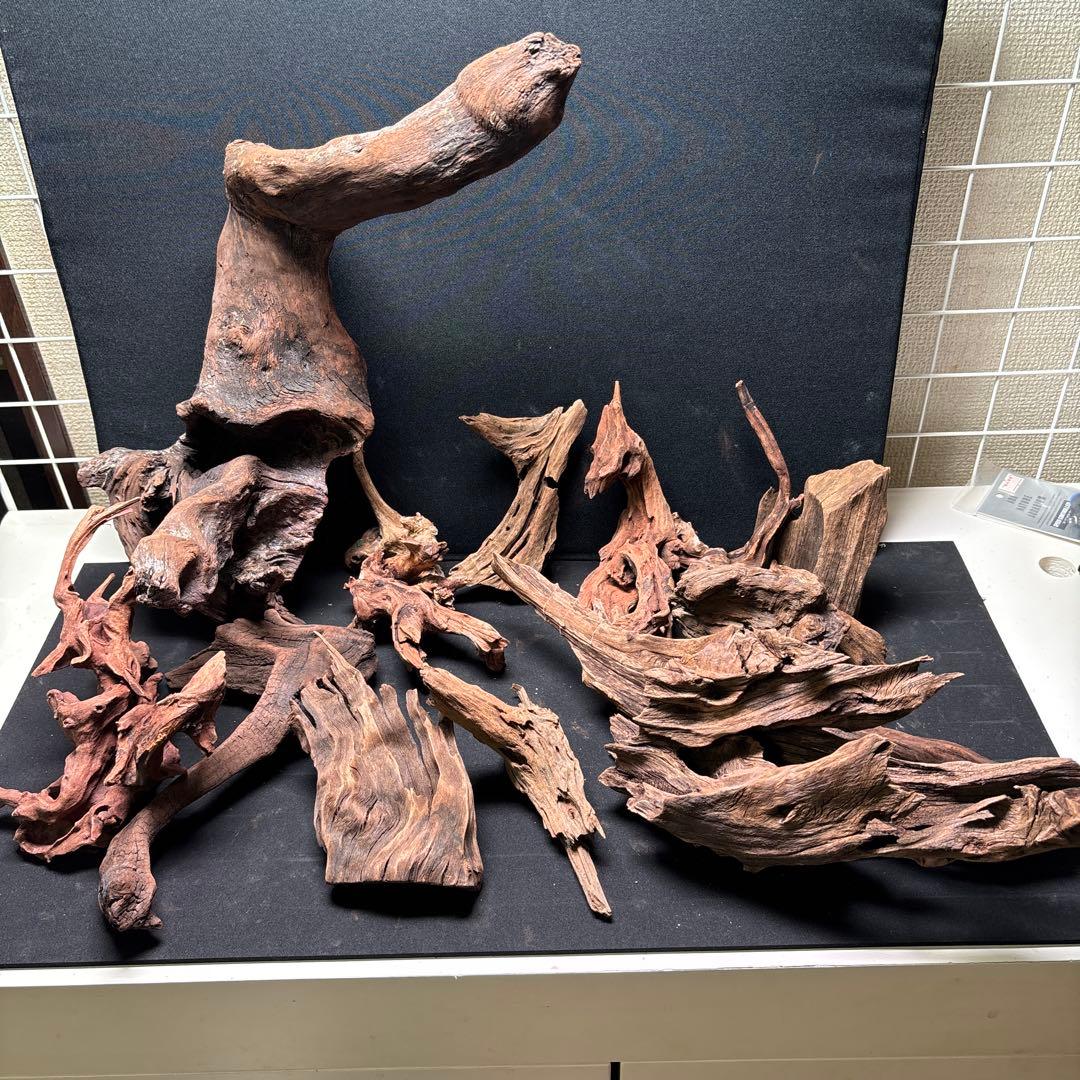 ADAホーンウッド計14個