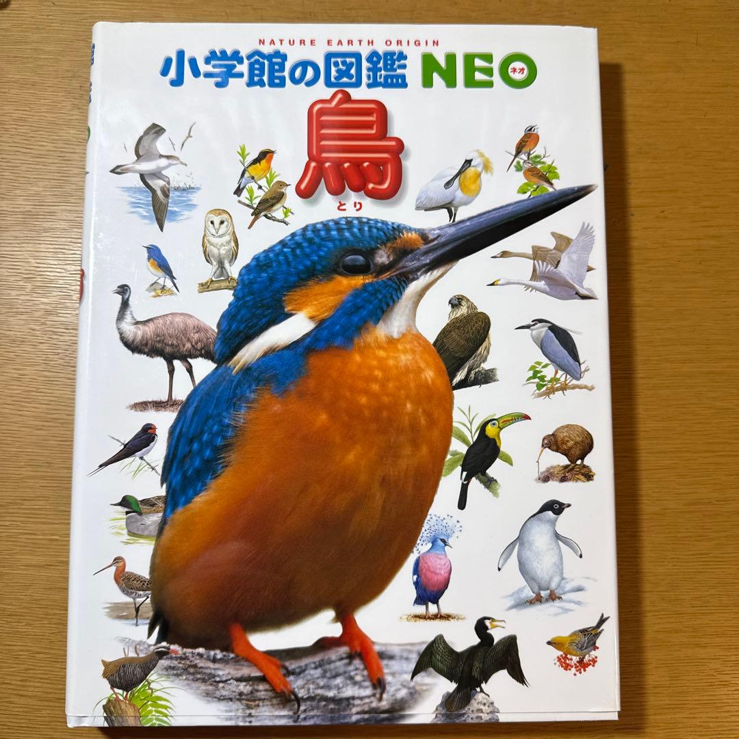 NEOシリーズ 自然科学図鑑19冊セット