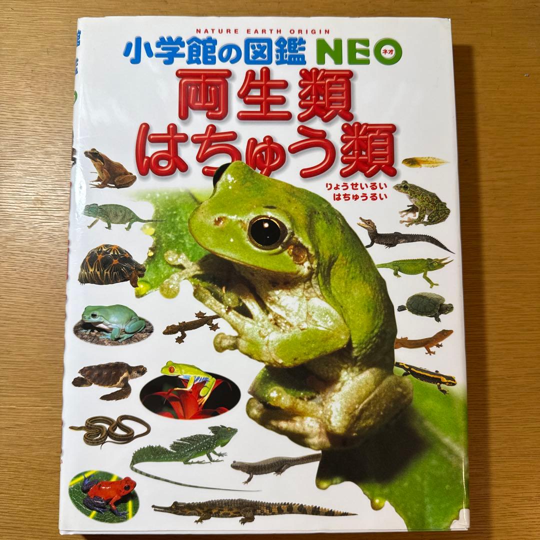 NEOシリーズ 自然科学図鑑19冊セット