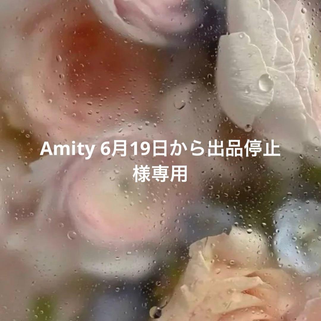 Amity 6月19日から出品停止