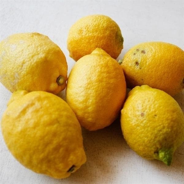 自然栽培レモン果汁(200ml)Ｘ７本★丸ごと搾った★無添加★無肥料・無農薬★