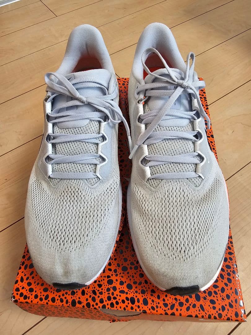 ナイキ　ペガサス41　エレクトリック　28.0cm