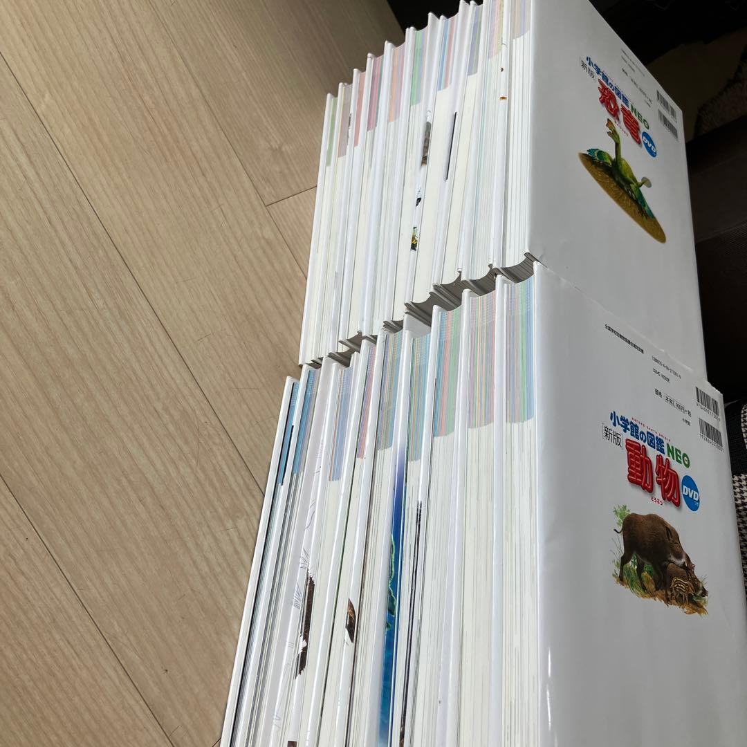 小学館の図鑑NEO 全巻20冊セット DVD付き