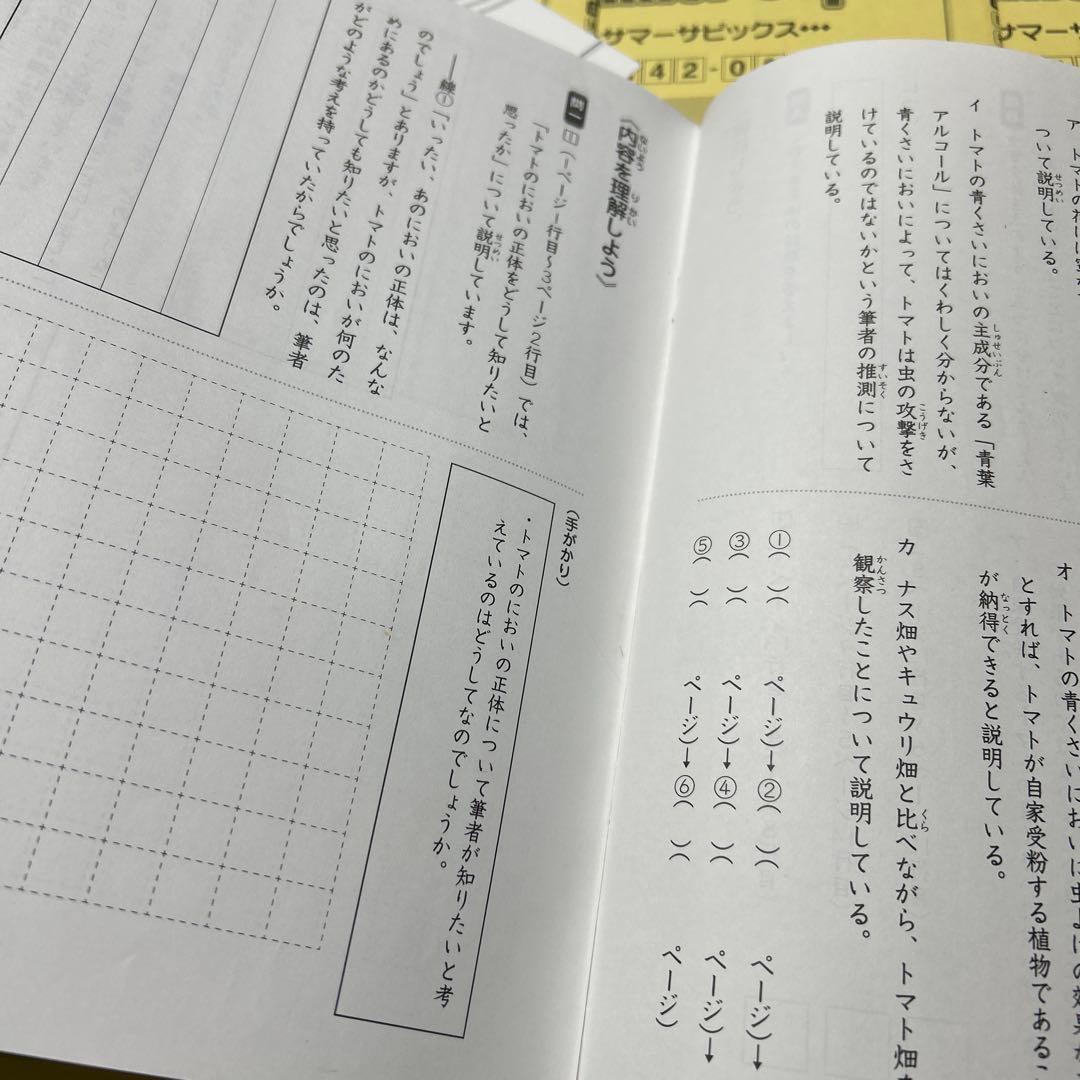 ㉓A 未記入　サピックス　SAPIX 4年　国語　夏期講習　サマーサピックス