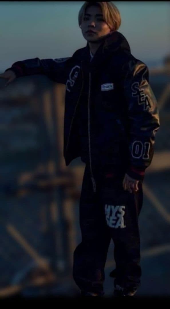 なつめ　【鑑定済　本物】ウィンダンシー×ヒステリックグラマー スタジャン