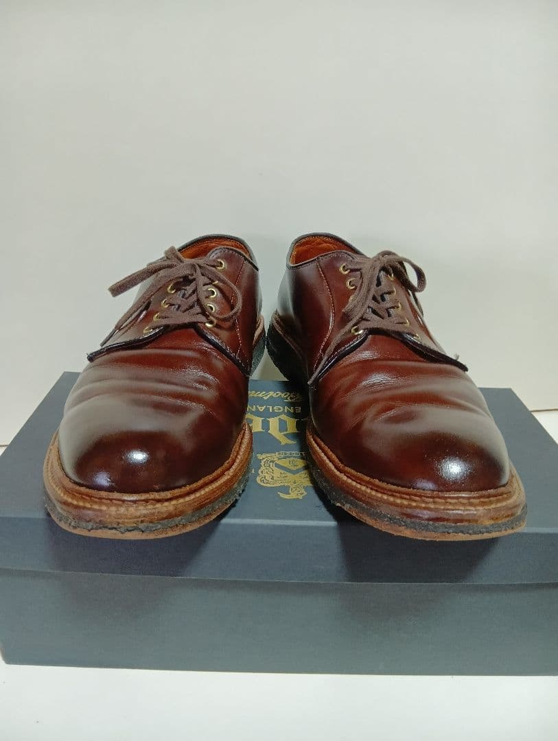 靴 alden all weather walker 10 1/2 D