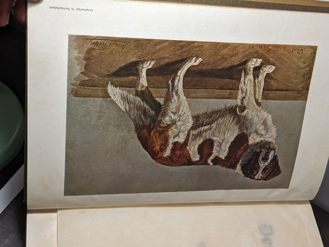 アンティーク 本　ドイツの犬の品種 珍しい本　ドイツ語　レア 洋書