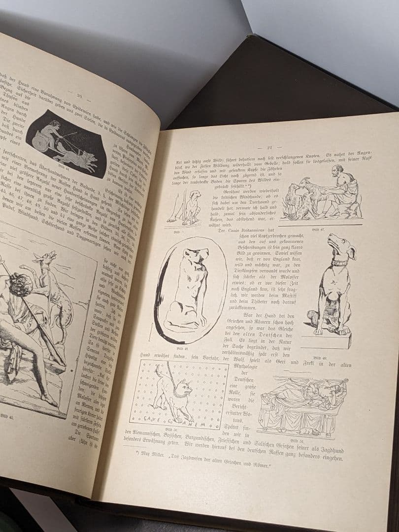 アンティーク 本　ドイツの犬の品種 珍しい本　ドイツ語　レア 洋書