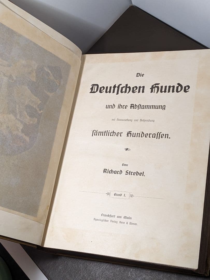 アンティーク 本　ドイツの犬の品種 珍しい本　ドイツ語　レア 洋書