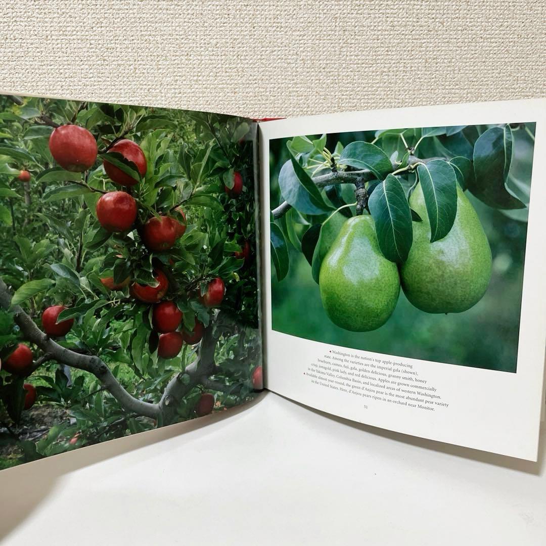 WASHIINTON portrait of a state ワシントン写真集