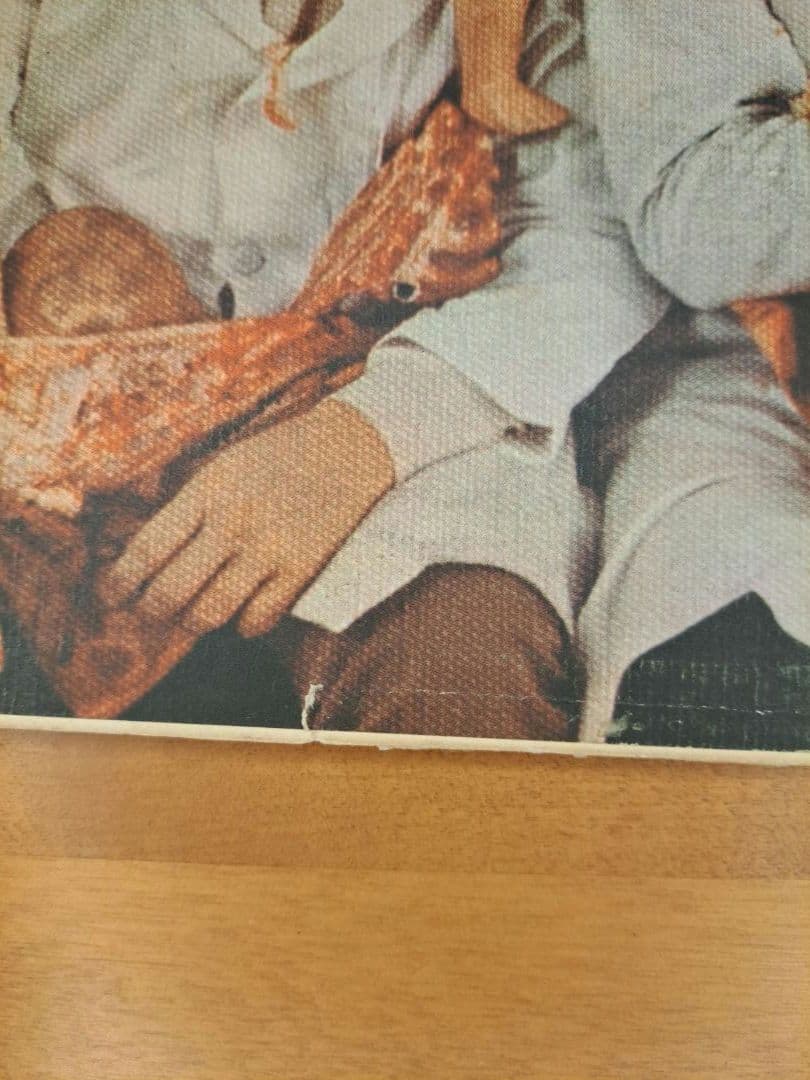 LP【ブッチャーカバー】The Beatles /Yesterday＆Today