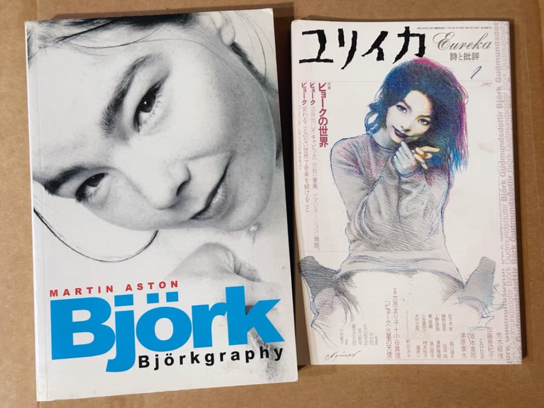 Bjorkgraphy ＆ ユリイカ 2002年1月号特集「ビョークの世界」