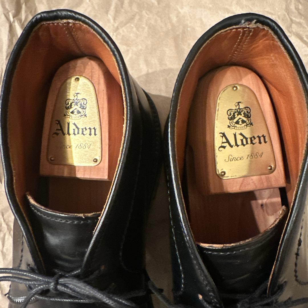 Alden チャッカブーツ 1340黒コードバン US8 シューツリー付