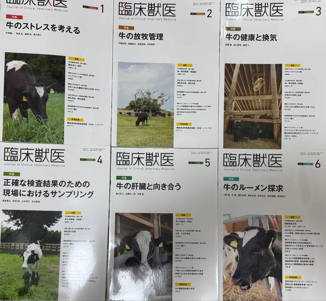 臨床獣医 2022年1月〜12月号12冊