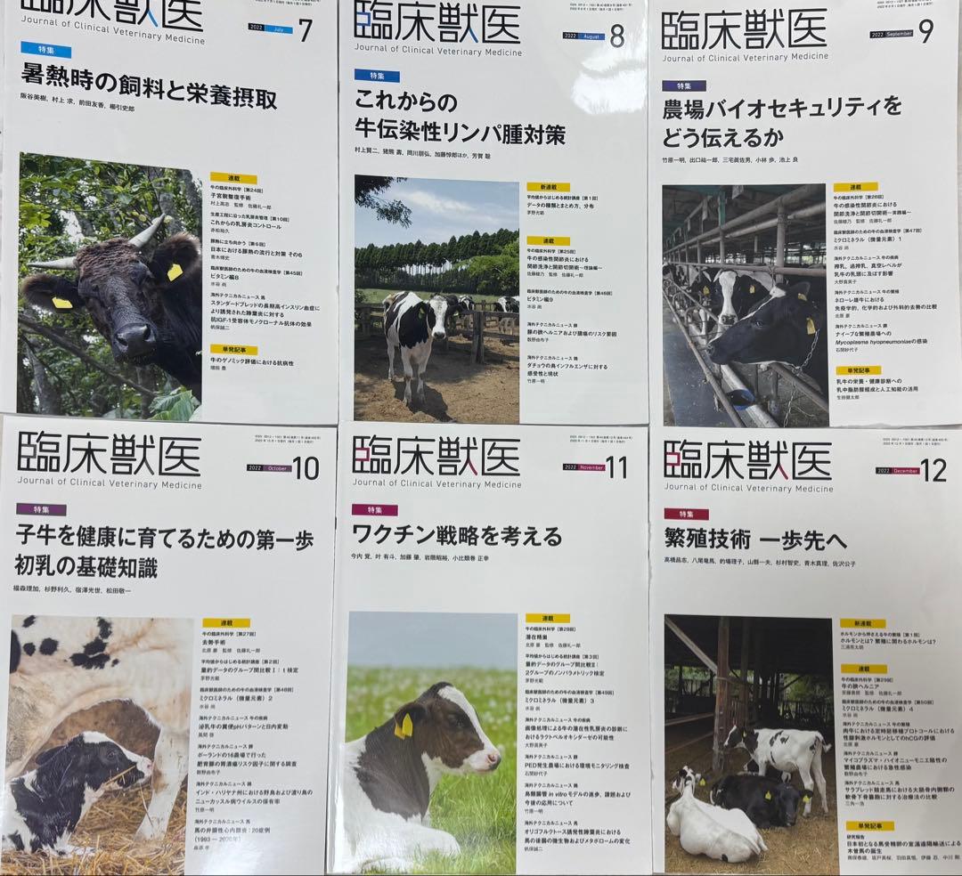 臨床獣医 2022年1月〜12月号12冊
