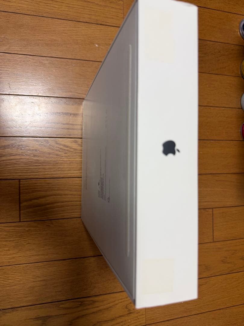 iPad Pro 13インチ 第1世代 256GB スペースグレー wifi