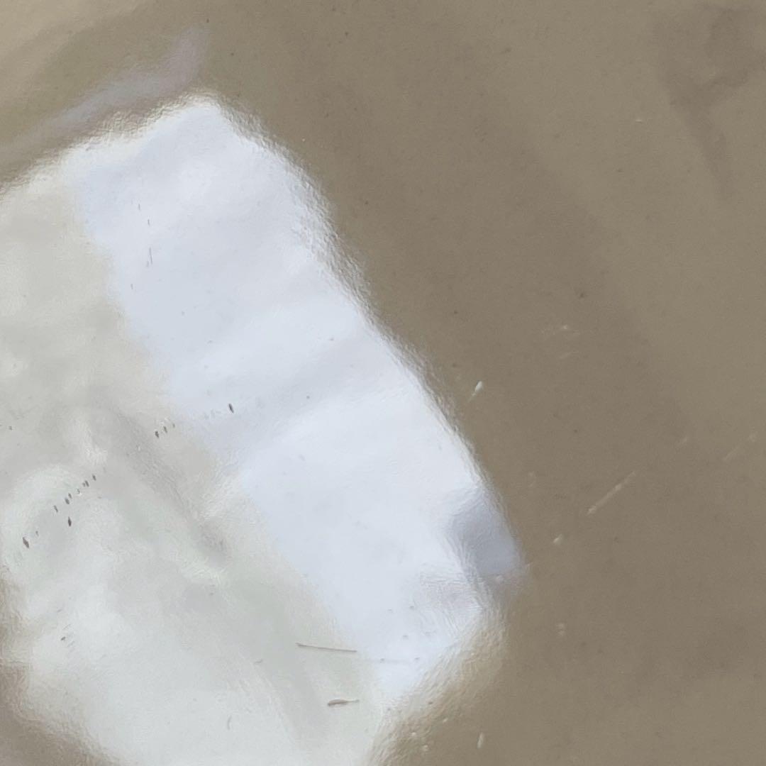 希少【5枚セット】エマブリッジウォーターEmma Bridgewater 皿