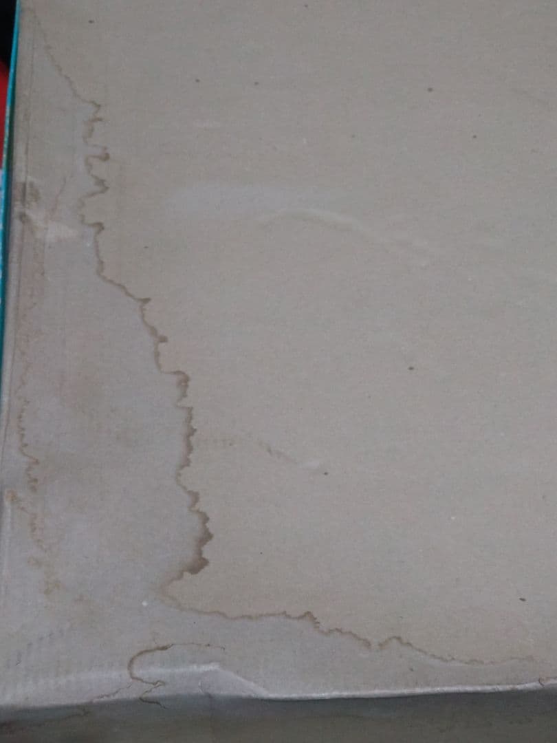 【バンダイ ドンジャラ】 うちのタマ知りませんか？