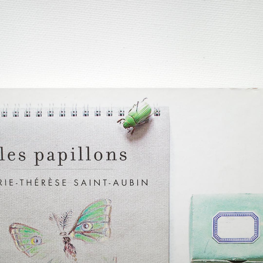 絶版クロスステッチMarie-Therese Saint-Aubin手帳