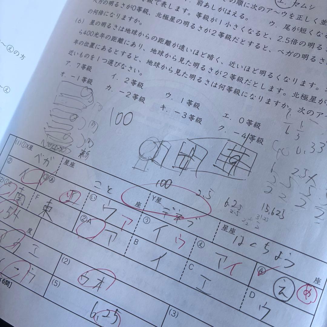 SAPIX 6年　2025年度版　最新テキスト　理科社会