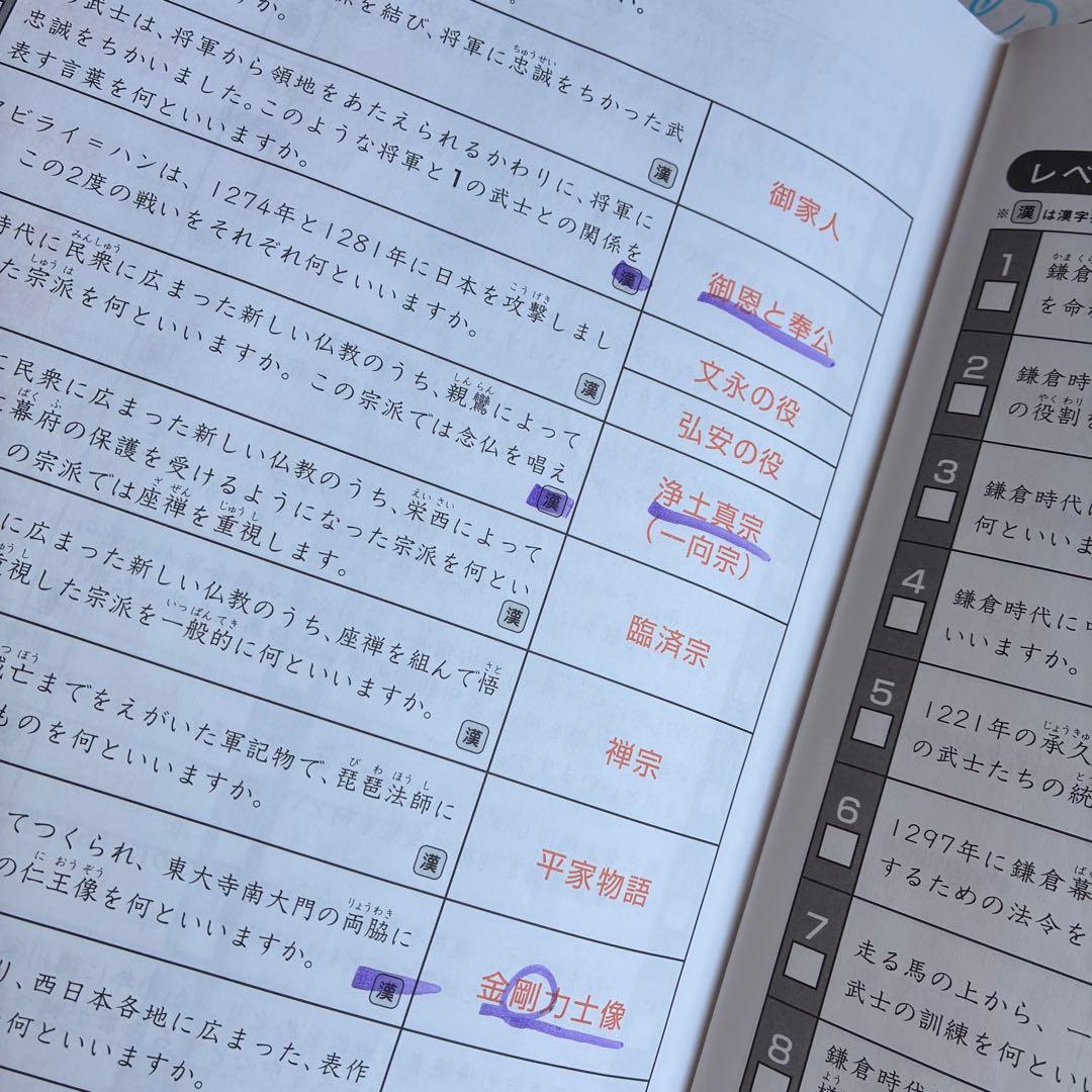 SAPIX 6年　2025年度版　最新テキスト　理科社会