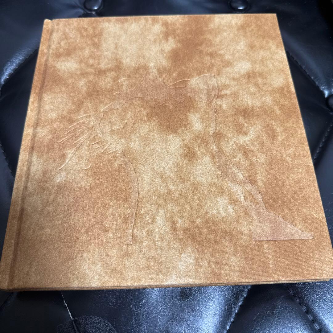 深瀬昌久　afterwordサスケ写真集　猫　2017年2版　限定900部