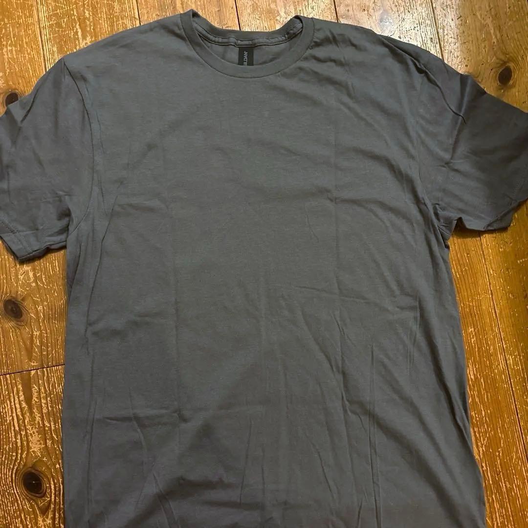 ミュージック the microphones & little wings