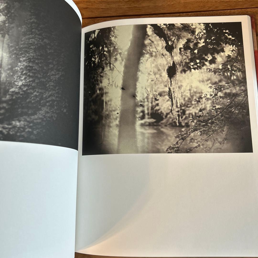 LE TEMPS RETROUVE Cy Twombly アートブック