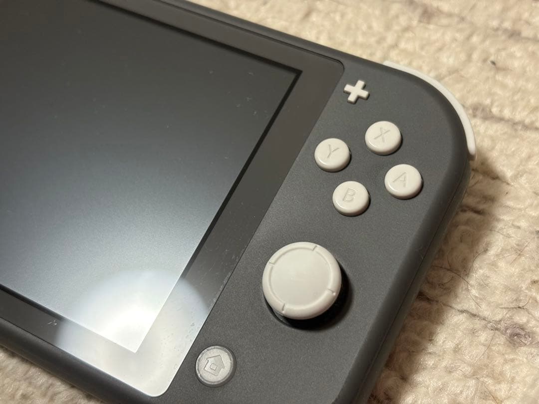 Switchライトグレー＋ソフト1本　おまけ付き