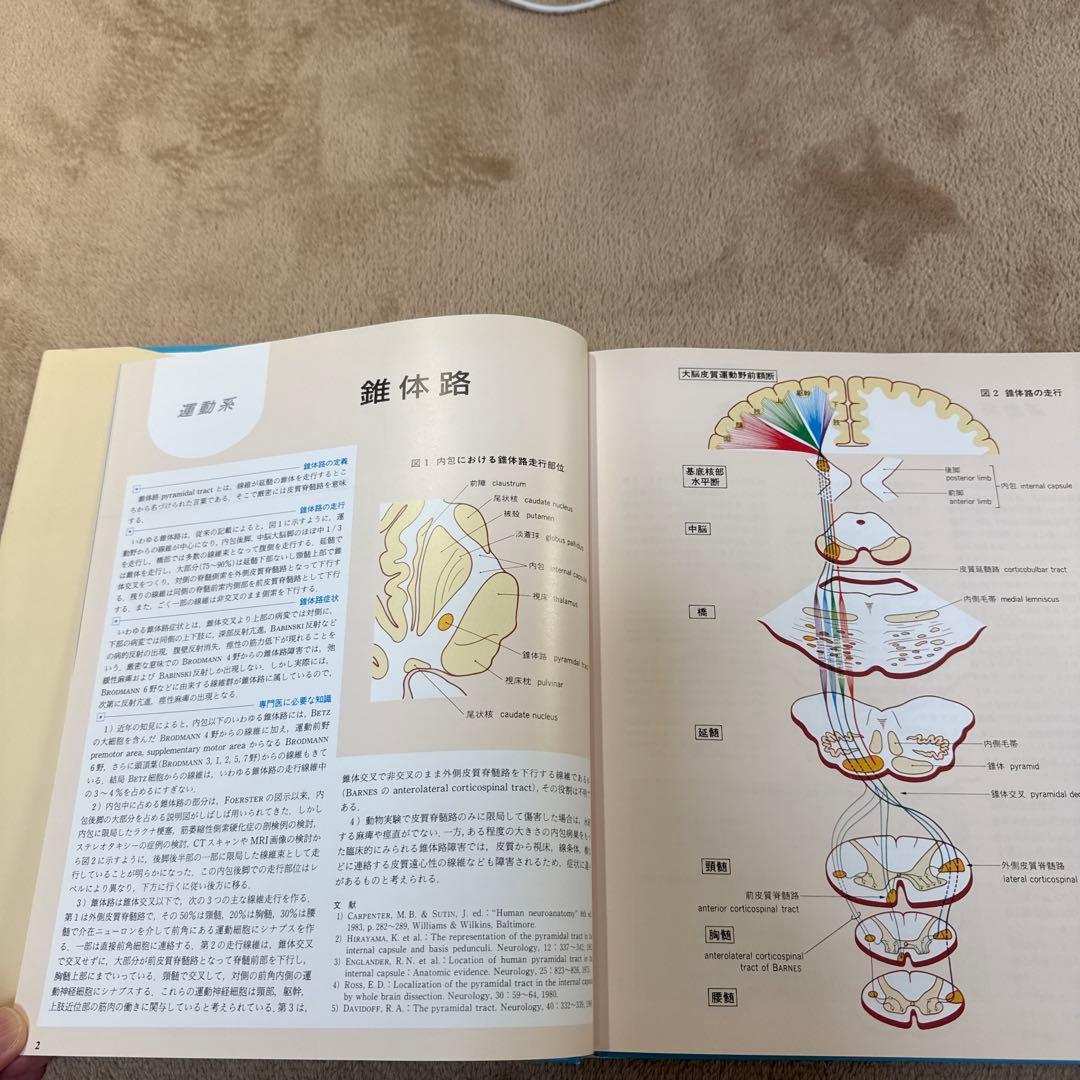 医学書　臨床のための神経機能解剖学　定価:税込¥17,600